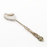 Serving Spoon Classic